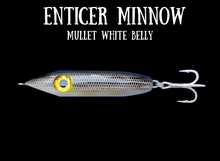 Load image into Gallery viewer, Enticer Minnow - Topwater/Sub